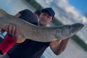 Monster Northern Pike Caught on Lake Delta