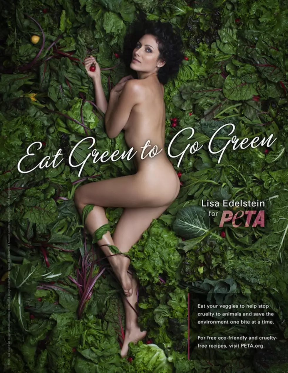 Lisa Edelstein of &#8216;House&#8217; Poses Naked for New PETA Ad