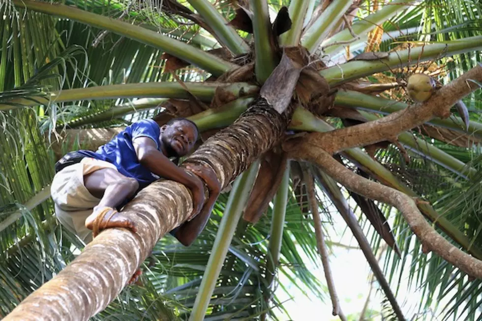 Man Spends Nine Months in a Tree After Catching His Wife Cheating