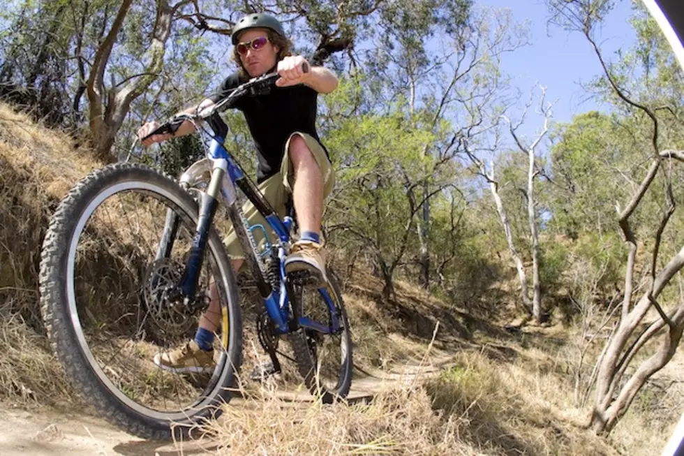 5 Best Mountain and Trail Bikes for Summer Riding