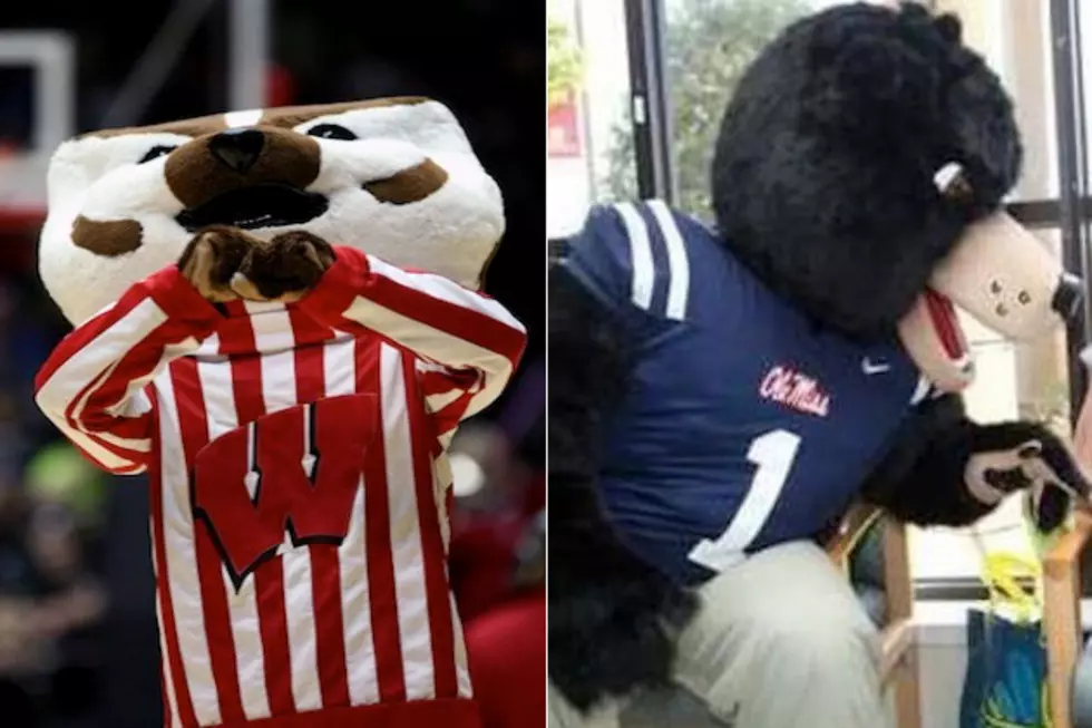 &#8216;Bucky the Badger&#8217; of Wisconsin vs. &#8216;Rebel Black Bear&#8217; of Ole Miss &#8212; March Mascot Madness