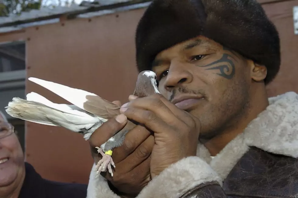 Mike Tyson To Solve Mysteries With Cursing Pigeon In New Adult Swim Cartoon Show