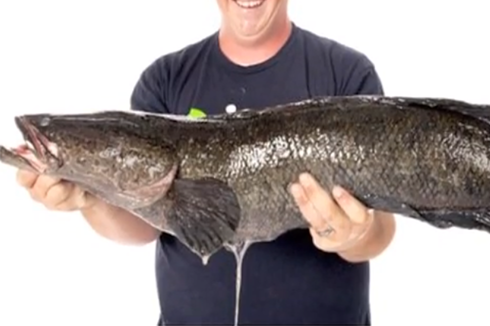 Virginia Man Catches Scariest Fish Ever Seen