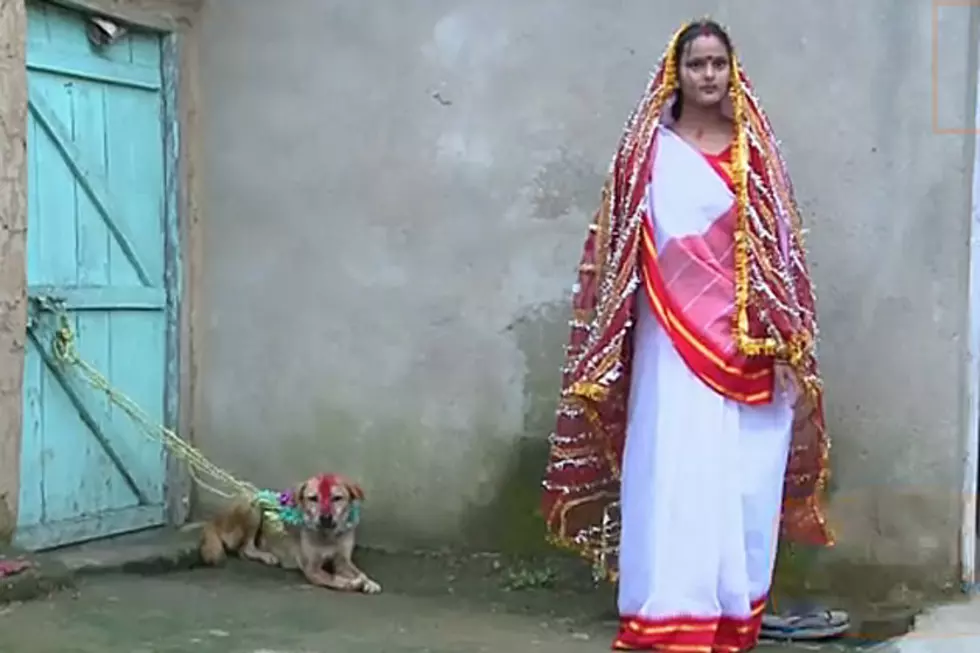 Woman Marries Dog Because the World Is Crazier Than You Realize