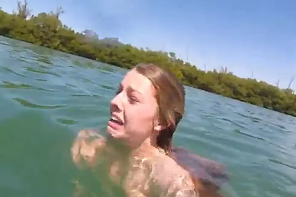 Screaming Woman Is Terrified of Manatee for No Reason Whatsoever