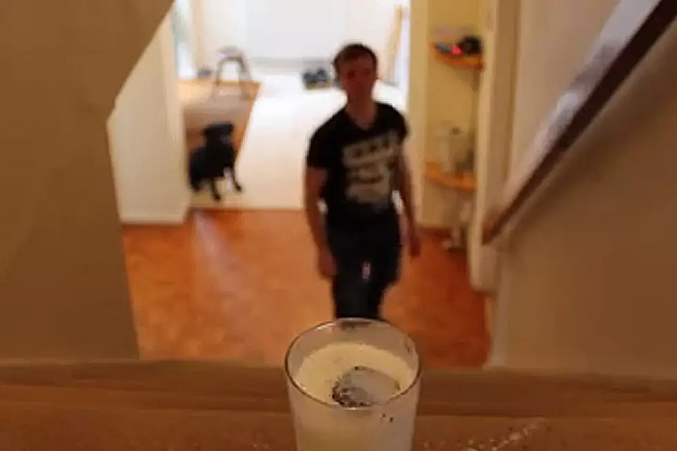 Oreo Trick Shots Are a Delicious Crime Against Snacks