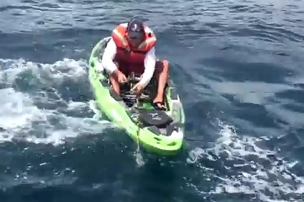 Fisherman Swims to Safety After Shark Capsizes His Boat