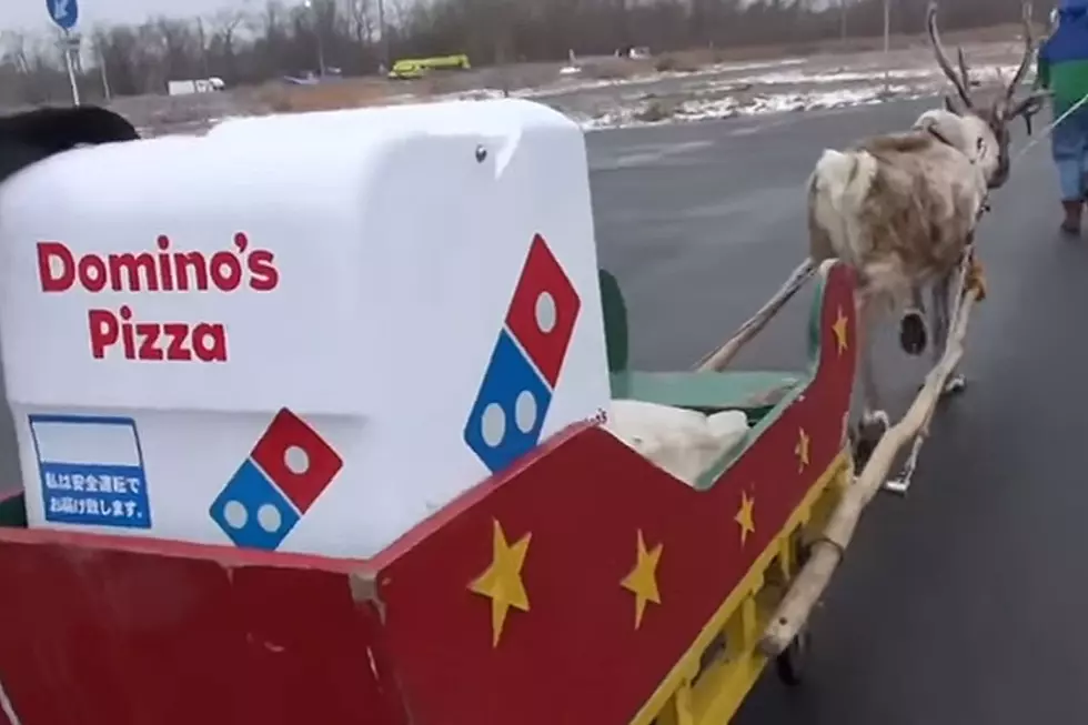 Domino’s Is Creating Pizza-Delivering Reindeer