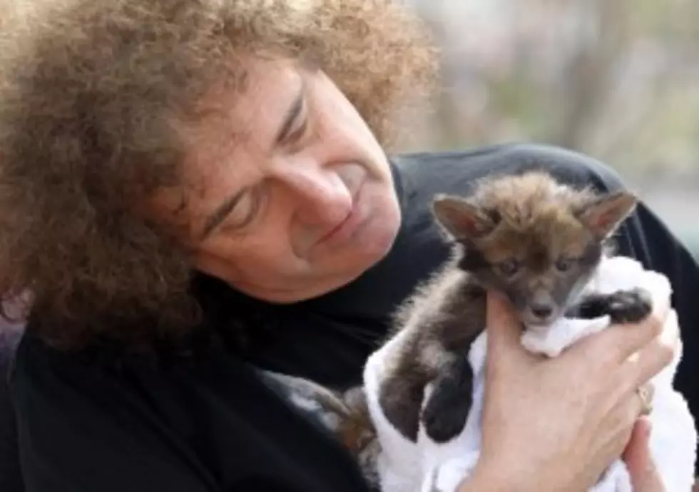 Brian May: &#8220;Commander&#8221;, Astrophysicist and Animal Activist Extraordinaire