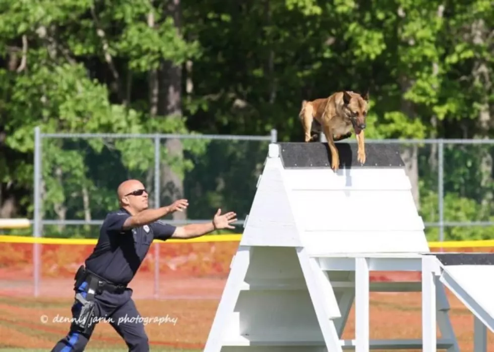 Stafford K9 Patrolmen and Their Companions Do Well in Competition
