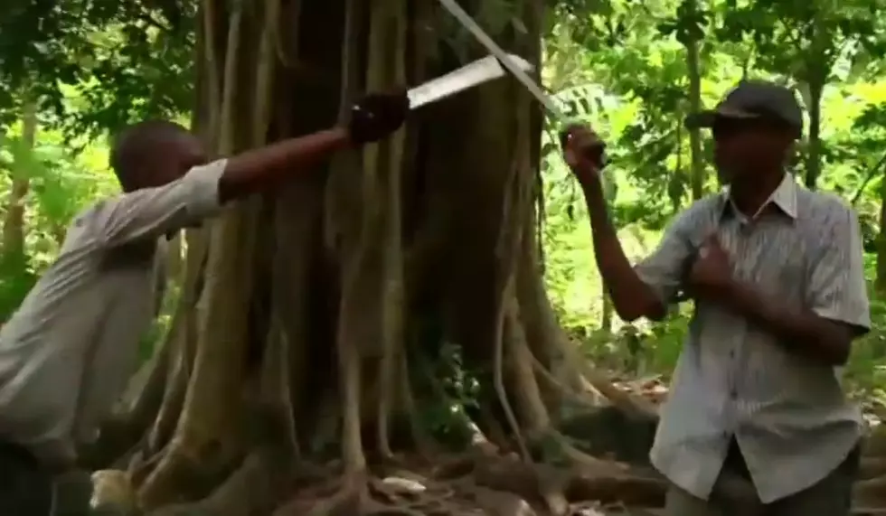 Would You Want To Try Machete Fencing?
