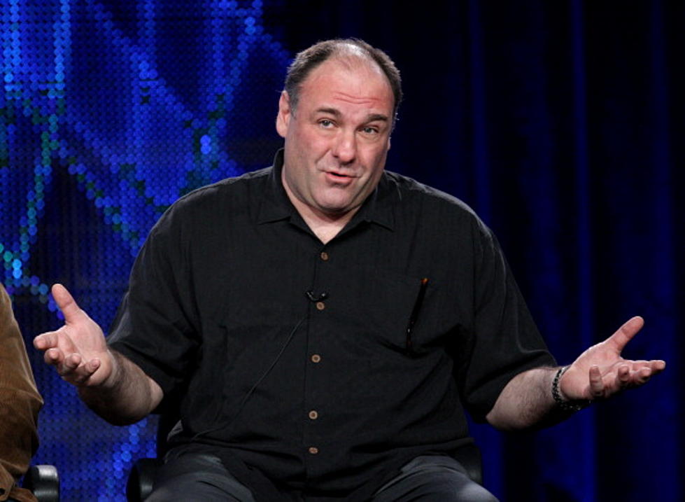 James Gandolfini Inducted into New Jersey Hall of Fame