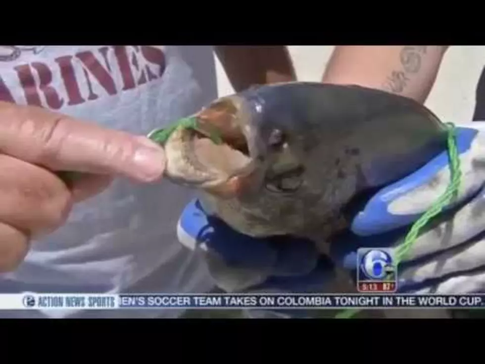 &#8220;Testicle-Eating Fish&#8221; Caught In New Jersey Lake