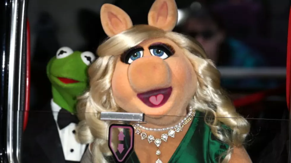 It’s Splitsville For Kermit and Miss Piggy!