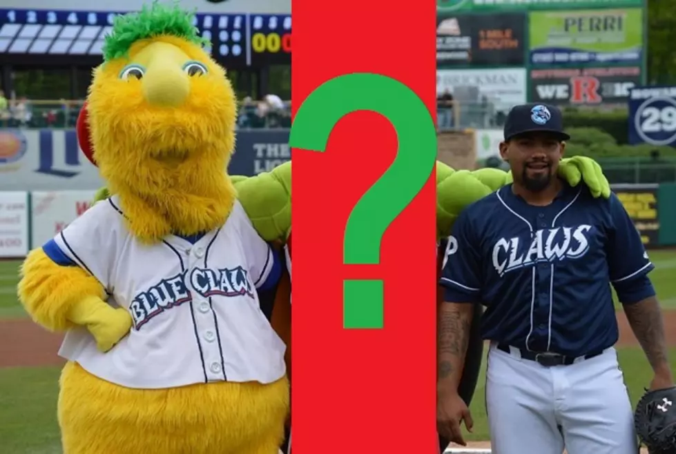Meet The Newest Member of the Lakewood BlueClaws Family!