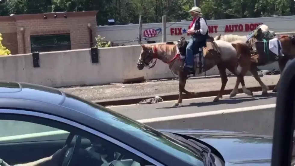 You Can’t Ride A Horse From NJ to NY