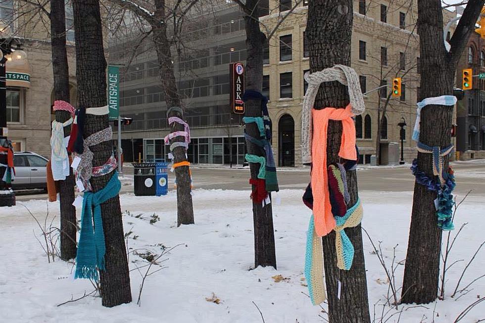 Have You Seen Scarves Tied Around Trees In Your Neighborhood?