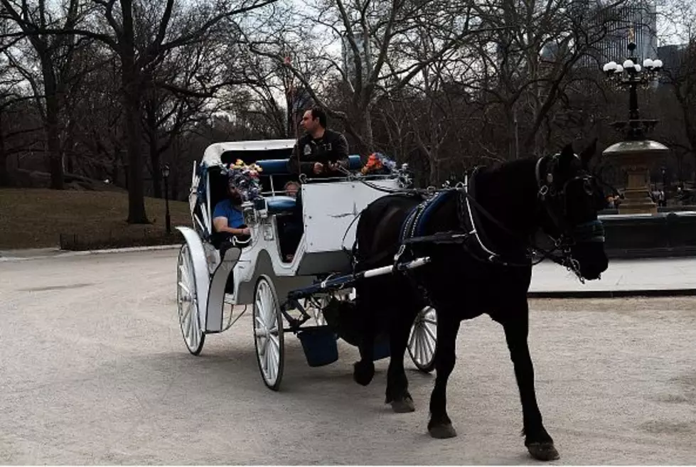 Free Horse and Carriage Rides in Point Pleasant for the Holidays
