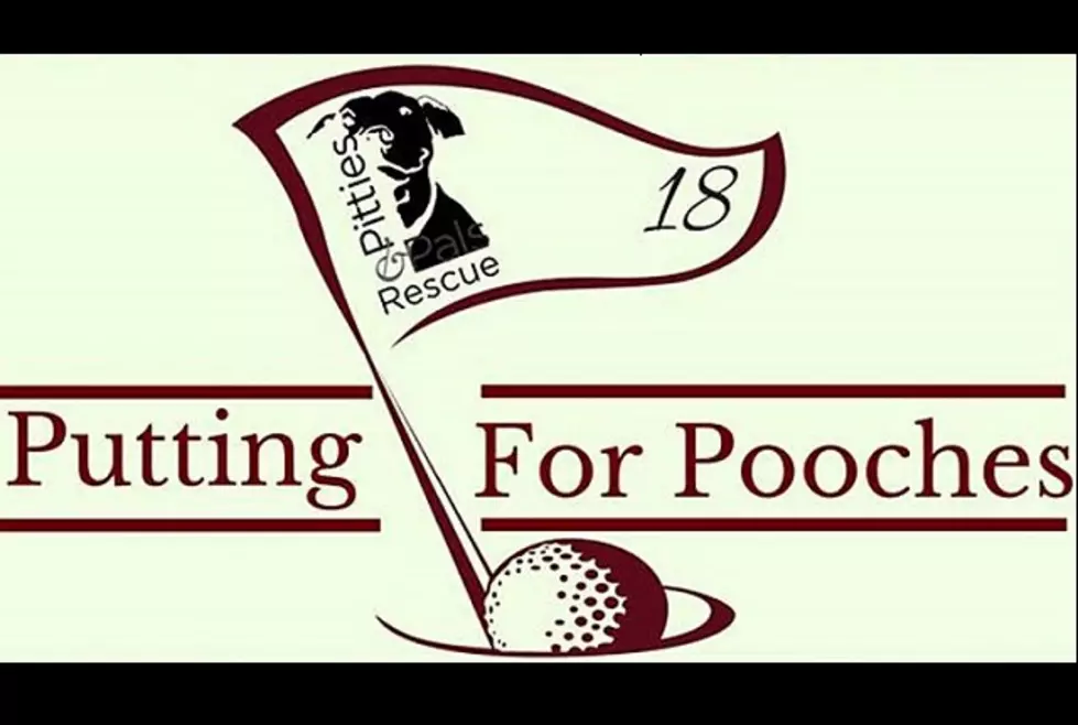 Putting For Pooches – Golfing For A Good Cause
