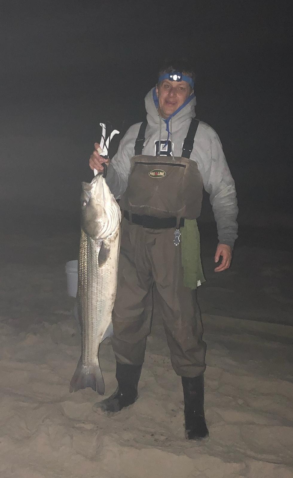 Striped Bass and Bluefish, Oh My!