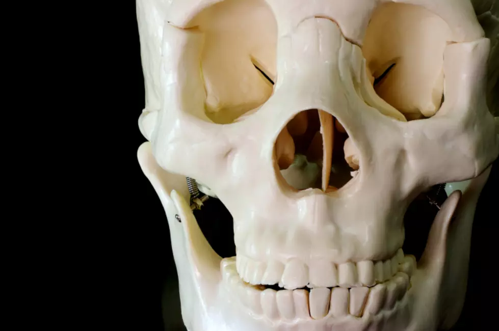 Human Skull Found On NJ Beach