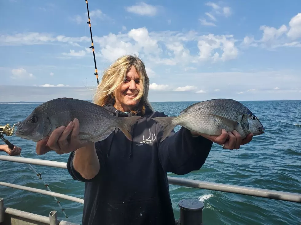 It&#8217;s Porgy Time &#038; September Goose Season Continues