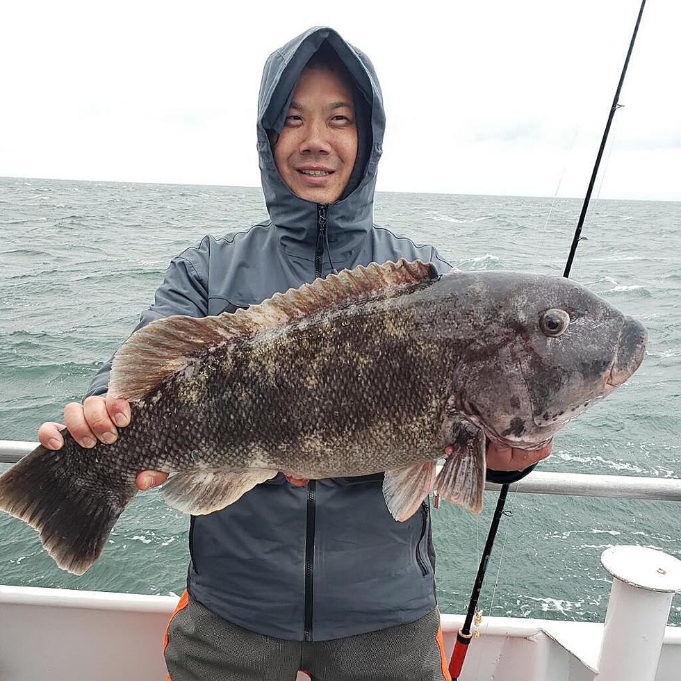 South Jersey Fishing: Big Tog Crunch Underway