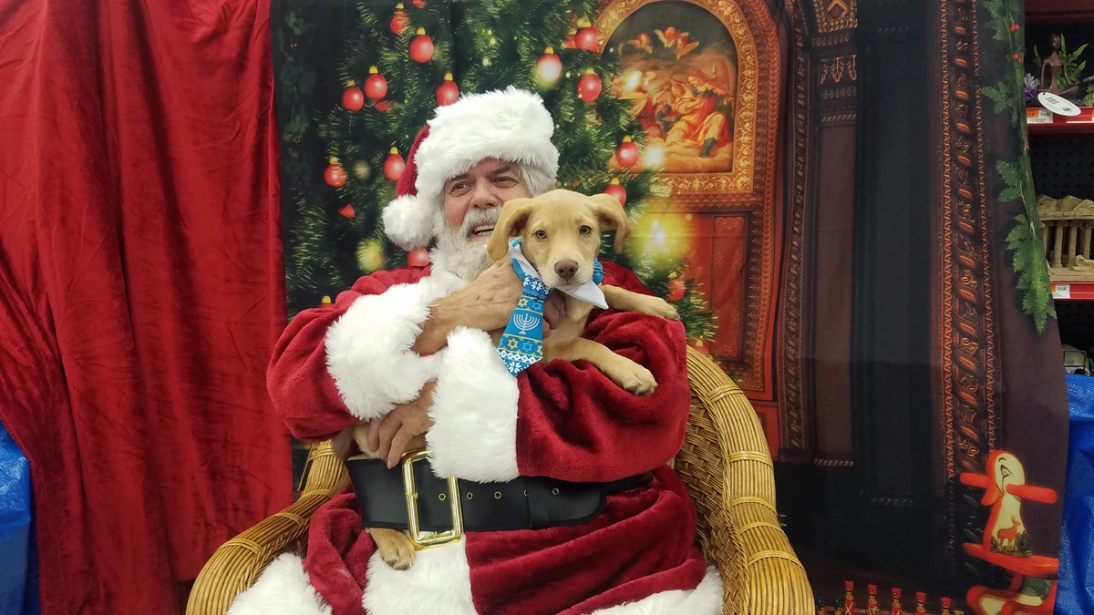 Bring Your Pets to Petco for Photos with Santa