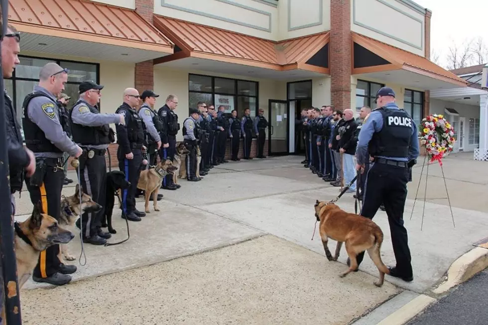 Retired Barnegat K9 Crosses The Rainbow Bridge