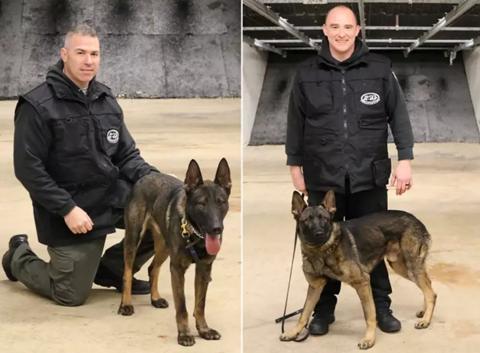 Toms River Police Department Welcomes Two New K9s