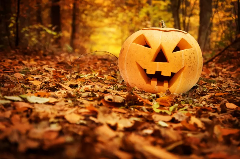 Get Spooked At The Haunted Trail At Allaire Community Farm