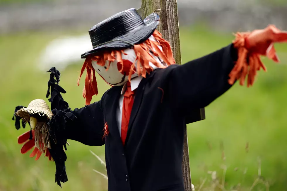 Scarecrows Are Returning To Downtown Toms River