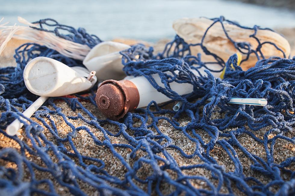 Our beautiful Jersey Shore Beaches Are Polluted.  We Can Do Better