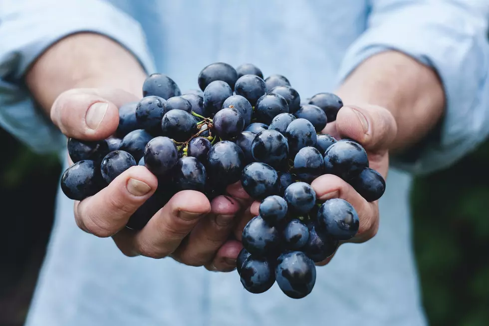 Credit: Maja Petric via Unsplash