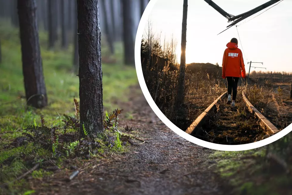 New Jersey’s New State Park Will Be Made Up Of Nine Amazing Miles Of Abandoned Railroad Tracks