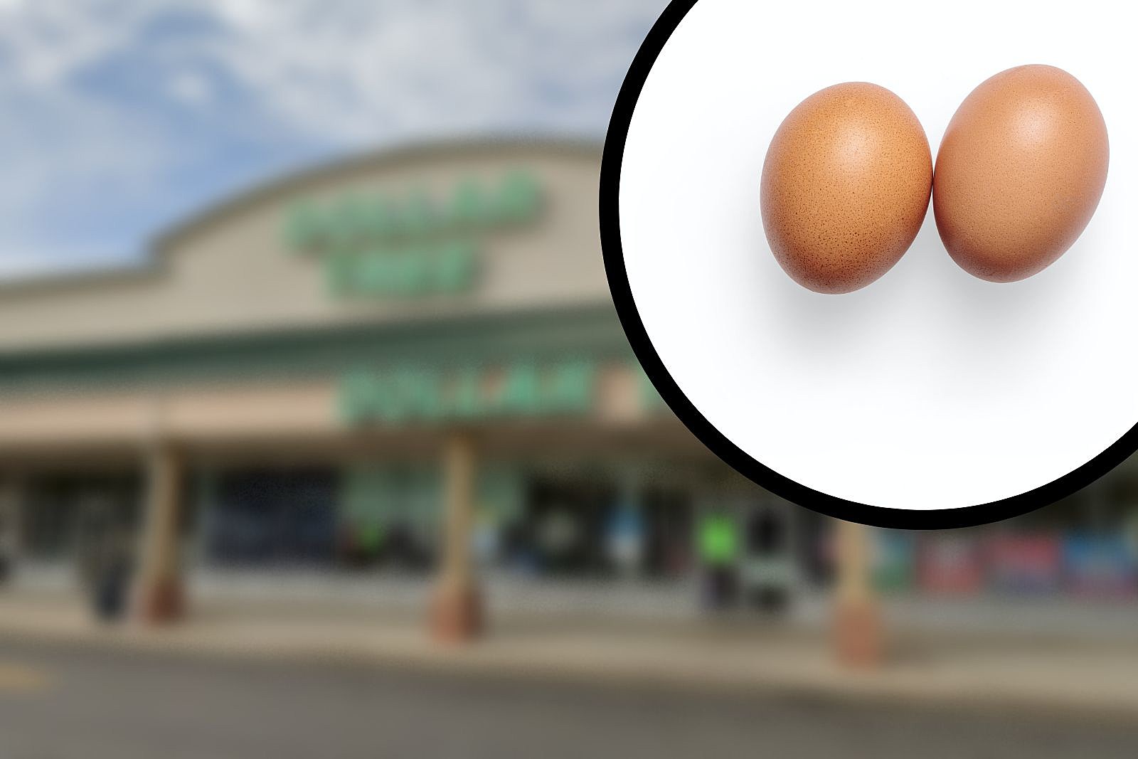 Dollar Tree Announced It Will Stop Selling Eggs