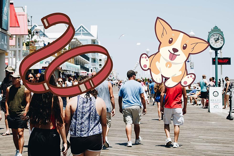 This Is When One New Jersey Beach Town Will Allow Dogs On The Boardwalk