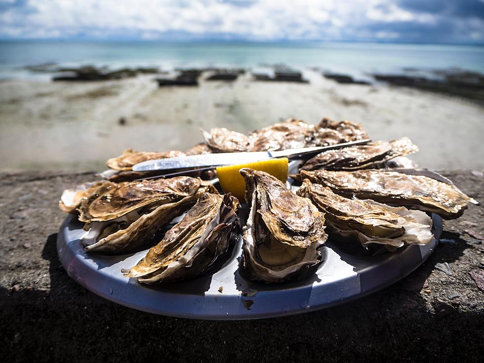 New Jersey’s Best Seafood Restaurant Is Home To A Massive Raw Bar