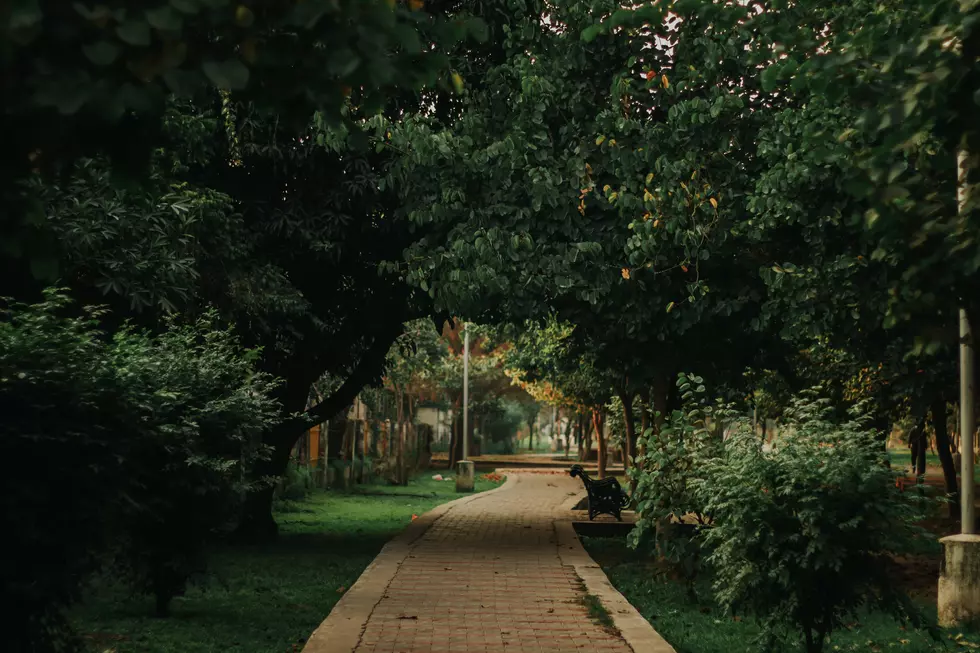 Photo by Dollar Gill on Unsplash