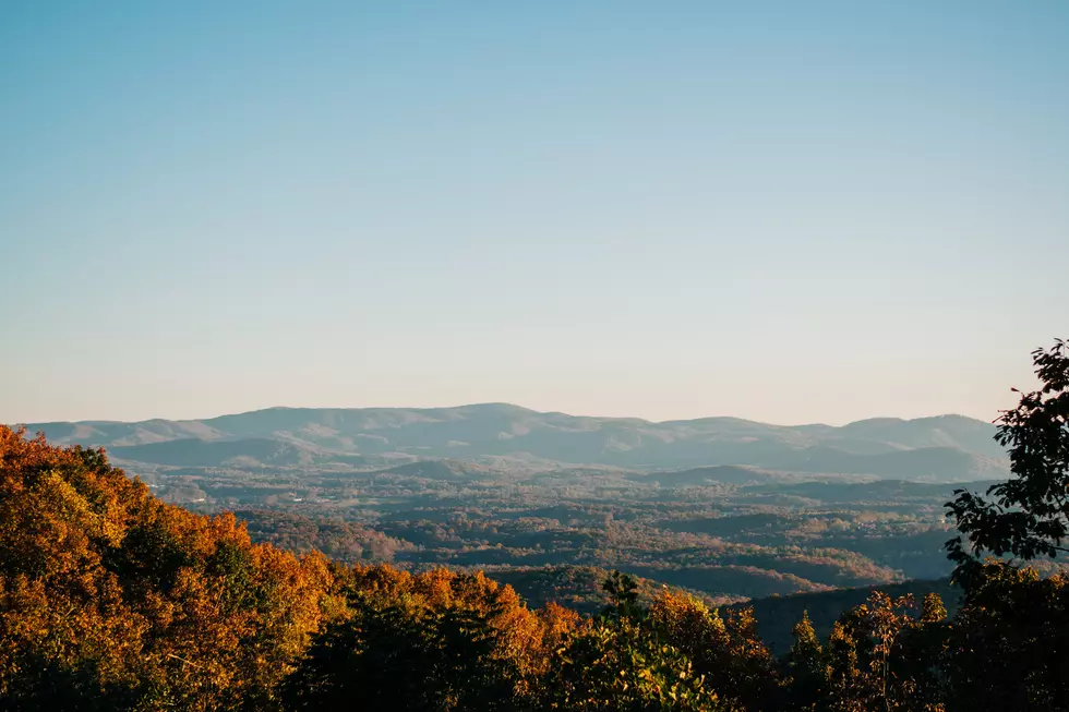 Photo by LAUREN GRAY on Unsplash