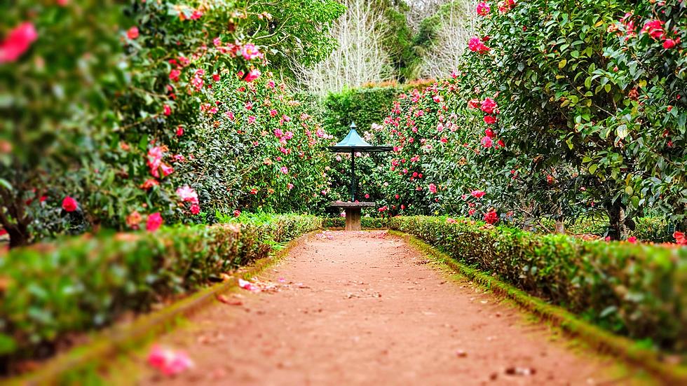 This Beautiful Garden Is Perfect For A New Jersey Day Trip This Fall