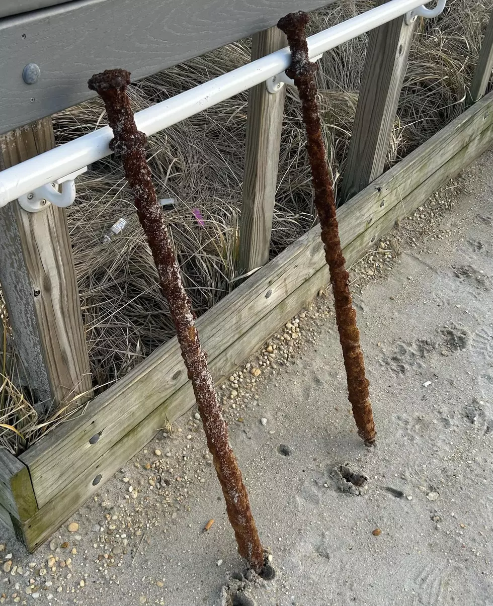 things that wash up on the beach