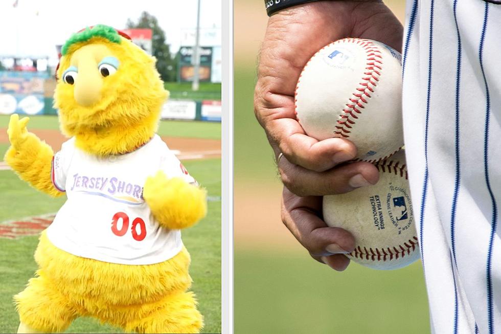 Vote Buster For America's Best Minor League Baseball Mascot!