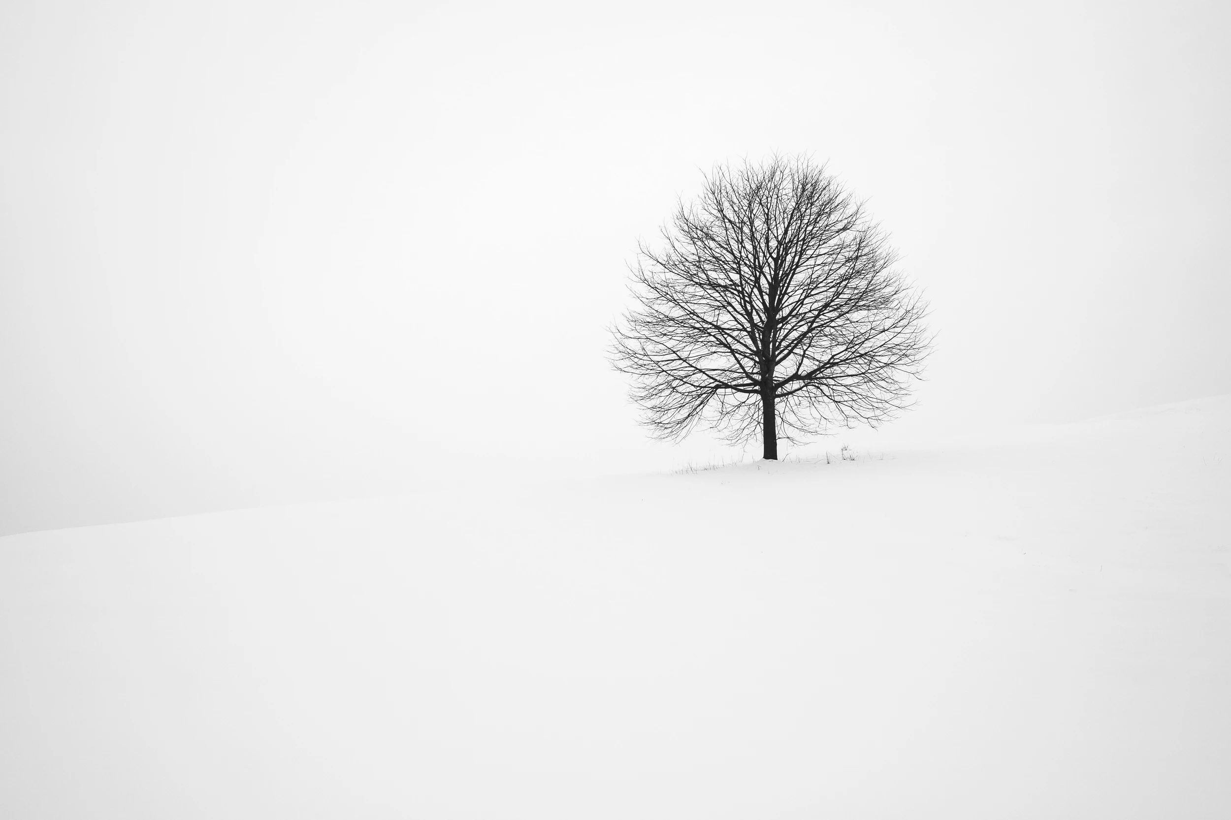 Photo by Fabrice Villard on Unsplash