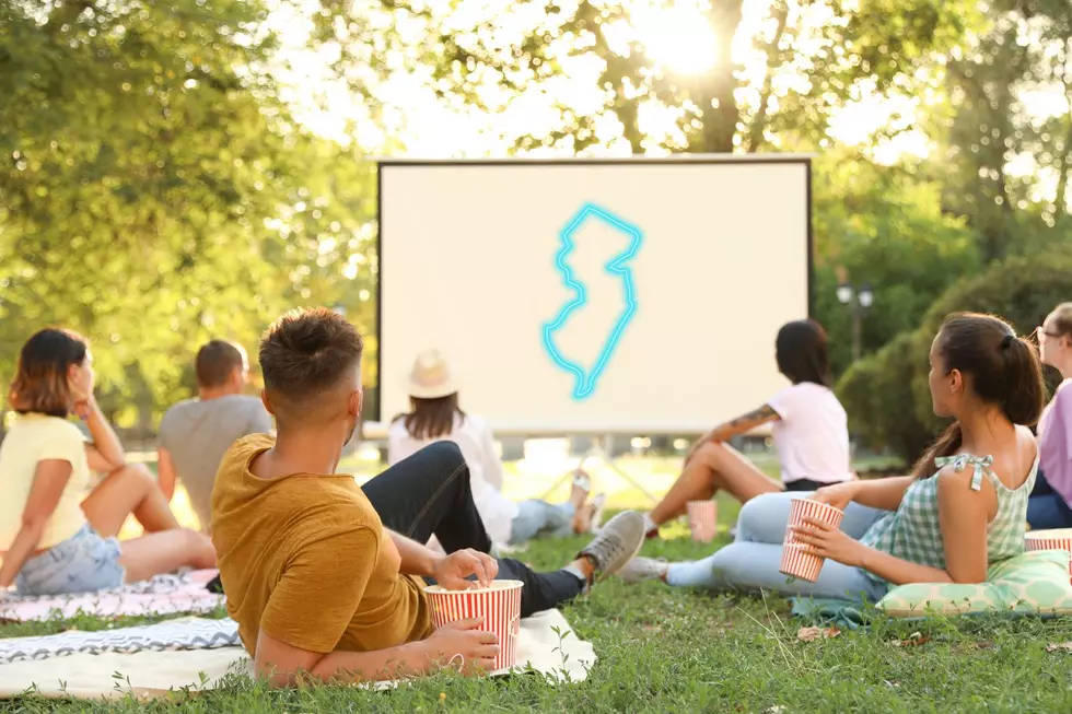 Free Movies In The Park Return To Toms River, NJ For 2024