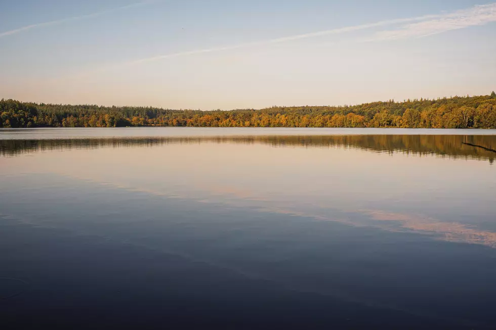 Photo by Patrick von der Wehd on Unsplash