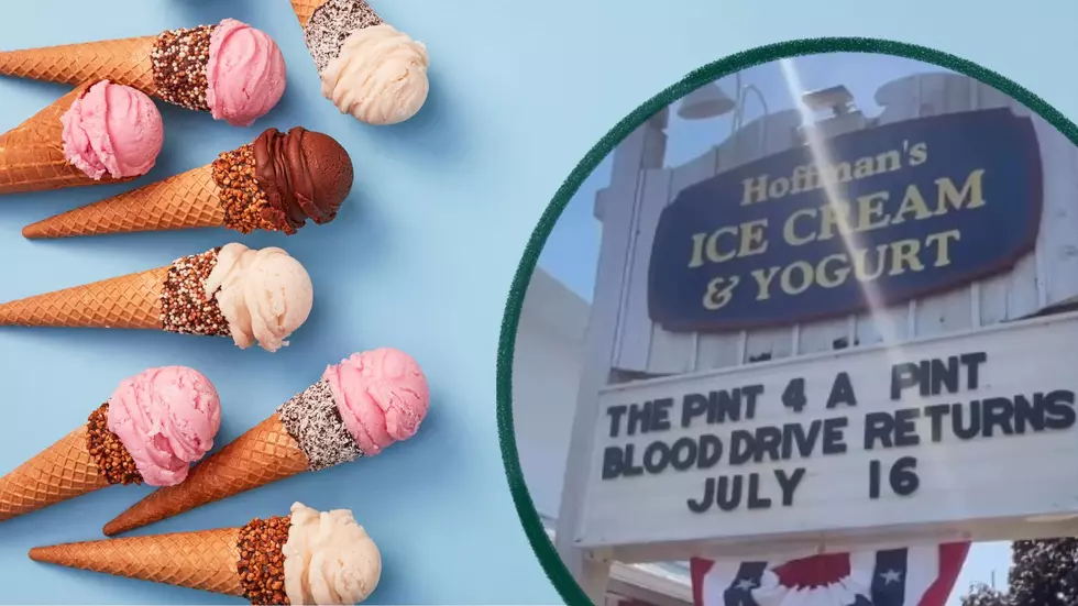 Free T-Shirts, Ice Cream For Breakfast, And An Ice Cream Playoff; Why We Love Hoffman’s Ice Cream
