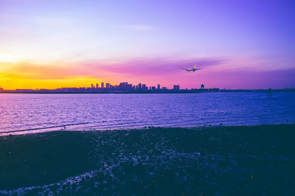 Photo by todd kent on Unsplash