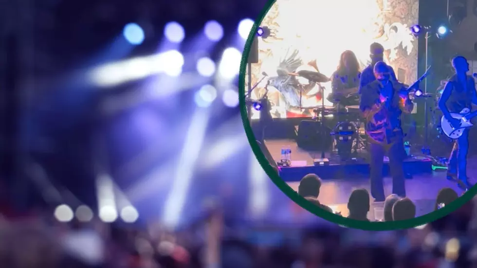 Rock 2 Adopt Is Back Oct. 17-18: See Every Band on the Rescheduled Lineup
