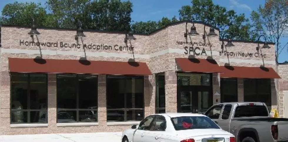 Monmouth County SPCA Opens Adoption Center In Freehold Raceway Mall Tomorrow